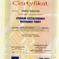 Powiększ obraz: certificate 9