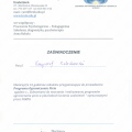 Powiększ obraz: certificate 6