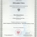 Powiększ obraz: certificate 13
