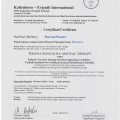 Powiększ obraz: certificate 9
