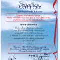 Powiększ obraz: certificate 13