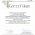 Powiększ obraz: certificate 7