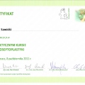 Powiększ obraz: certificate 9