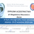 Powiększ obraz: certificate 7