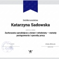 Powiększ obraz: certificate 6