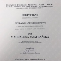 Powiększ obraz: certificate 8