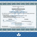 Powiększ obraz: certificate 5
