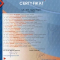 Powiększ obraz: certificate 13