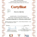 Powiększ obraz: certificate 5