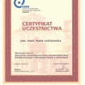 Powiększ obraz: certificate 9