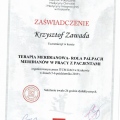Powiększ obraz: certificate 16