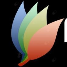 Marga Gabinety terapeutyczno-rehabilitacyjne