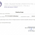 Powiększ obraz: certificate 10