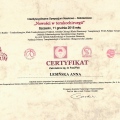 Powiększ obraz: certificate 8