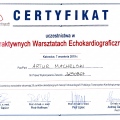 Powiększ obraz: certificate 2