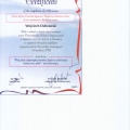 Powiększ obraz: certificate 13
