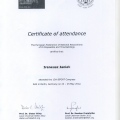 Powiększ obraz: certificate 7
