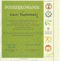 Powiększ obraz: certificate 11