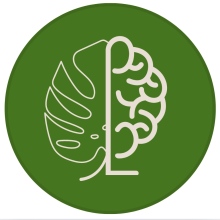 Poradnia Psychoterapii CBT i Seksuologii Jakub Cesarz