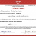 Powiększ obraz: certificate 15