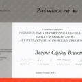 Powiększ obraz: certificate 14