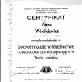 Powiększ obraz: certificate 5