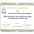 Powiększ obraz: certificate 45