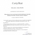 Powiększ obraz: certificate 32