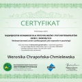 Powiększ obraz: certificate 6