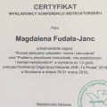 Powiększ obraz: certificate 4