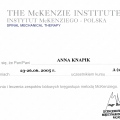 Powiększ obraz: certificate 4