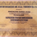 Powiększ obraz: certificate 6