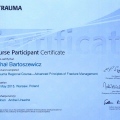 Powiększ obraz: certificate 7