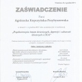 Powiększ obraz: certificate 5