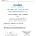 Powiększ obraz: certificate 8