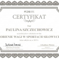 Powiększ obraz: certificate 92