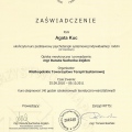 Powiększ obraz: certificate 5