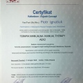 Powiększ obraz: certificate 7