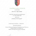 Powiększ obraz: certificate 33