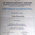 Powiększ obraz: certificate 23