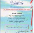 Powiększ obraz: certificate 3