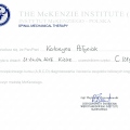 Powiększ obraz: certificate 5