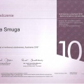 Powiększ obraz: certificate 4
