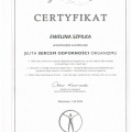 Powiększ obraz: certificate 22