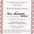 Powiększ obraz: certificate 4