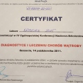 Powiększ obraz: certificate 2