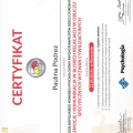 Powiększ obraz: certificate 1