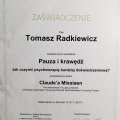 Powiększ obraz: certificate 24