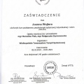 Powiększ obraz: certificate 1