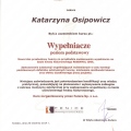 Powiększ obraz: certificate 8